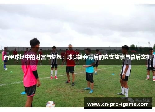 西甲球场中的财富与梦想：球员转会背后的真实故事与幕后玄机