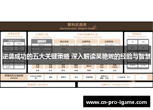 逆袭成功的五大关键策略 深入解读吴艳妮的经验与智慧
