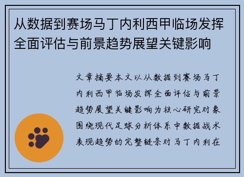 从数据到赛场马丁内利西甲临场发挥全面评估与前景趋势展望关键影响